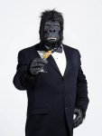 gorilla-in-a-tuxedo (1).jpg